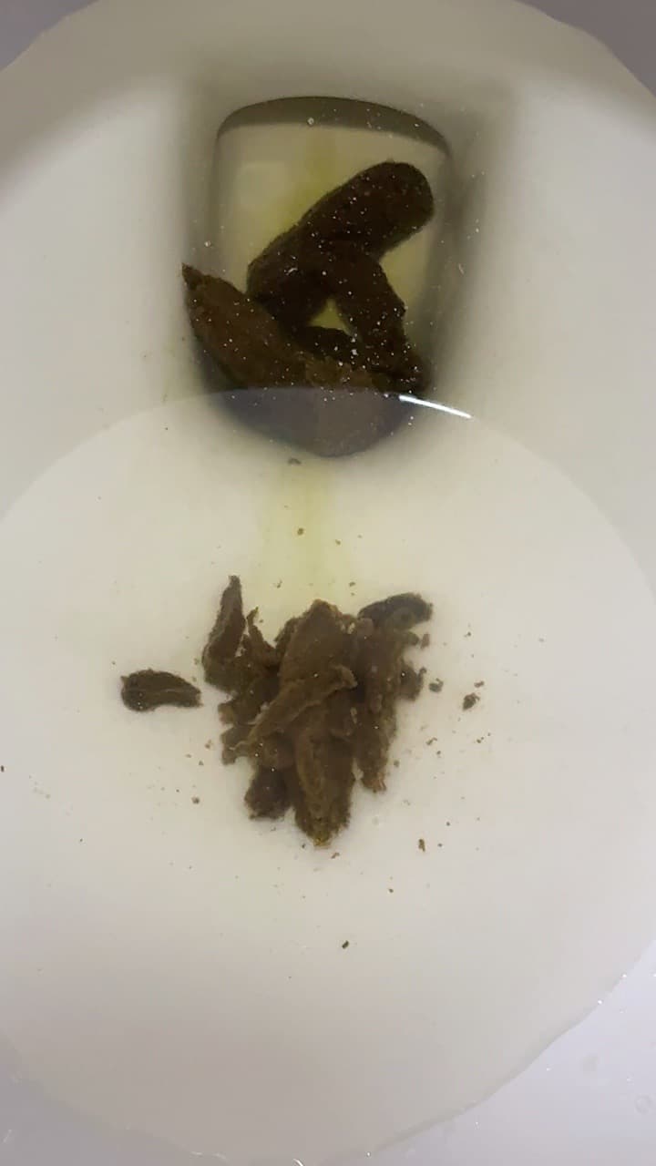 2번 째 사진