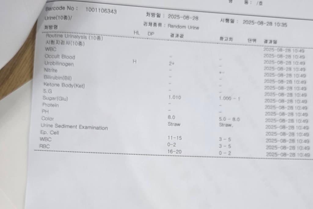 2번 째 사진