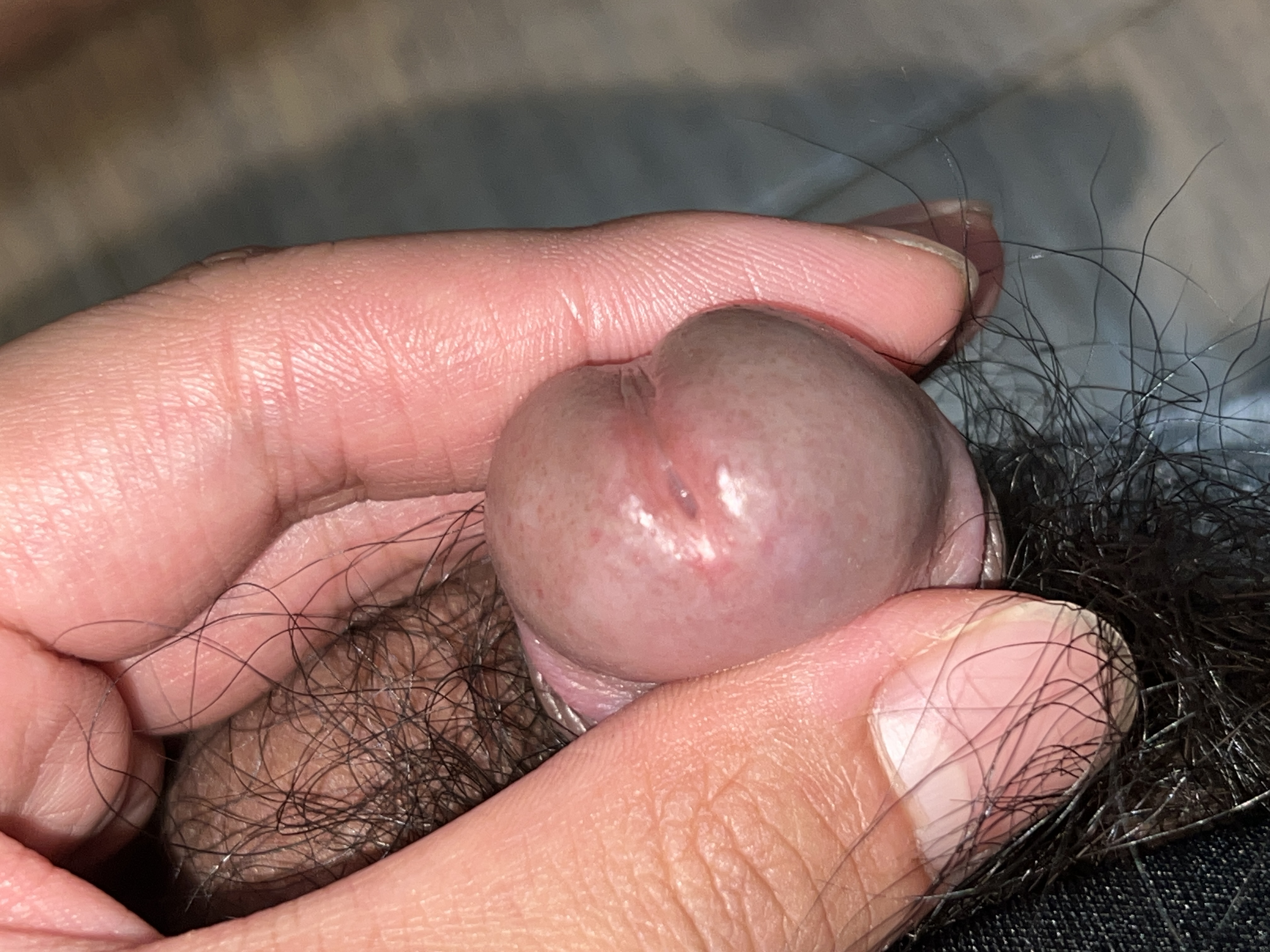 2번 째 사진