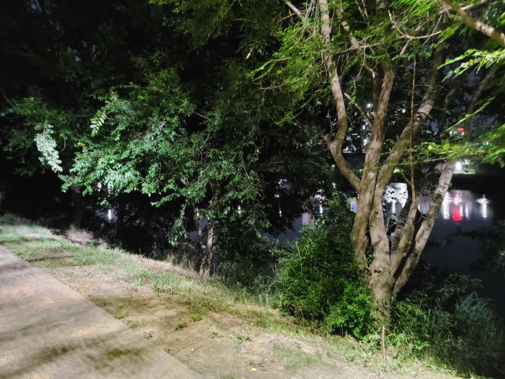 5번 째 사진