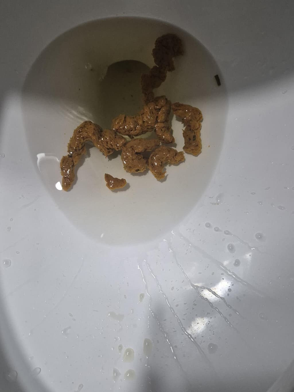 5번 째 사진
