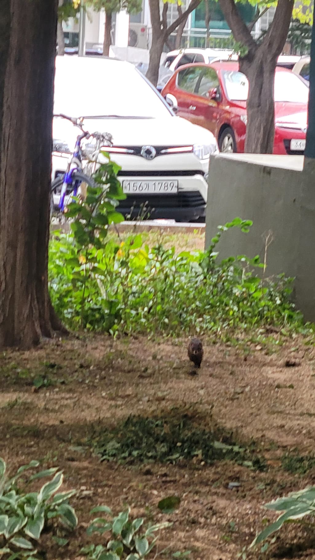 2번 째 사진