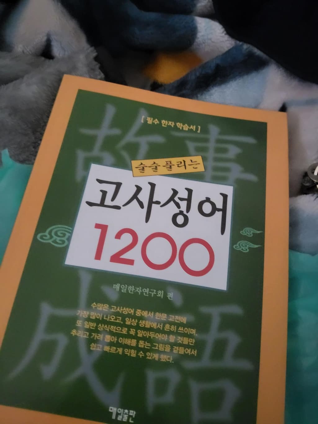 4번 째 사진
