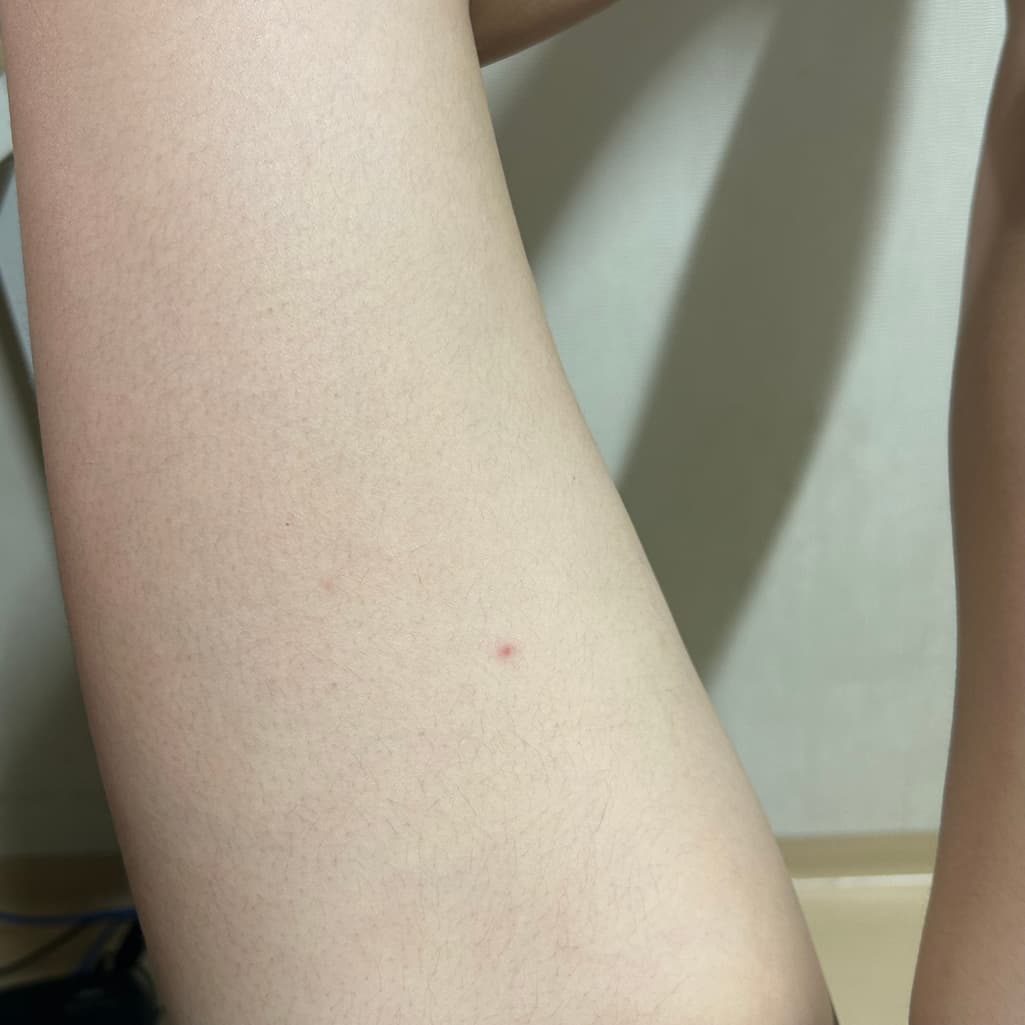3번 째 사진