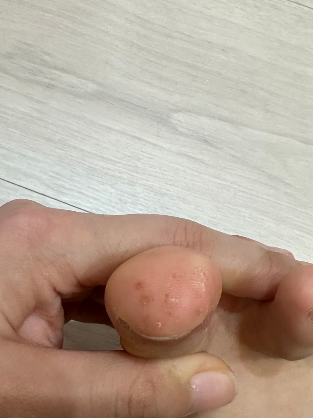 1번 째 사진