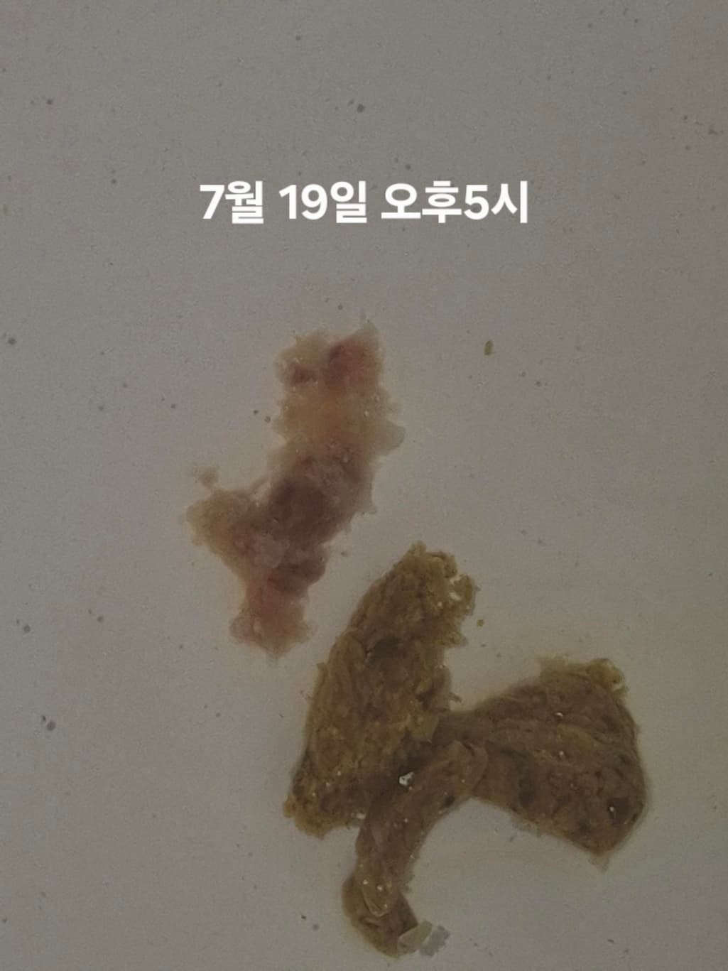 7번 째 사진