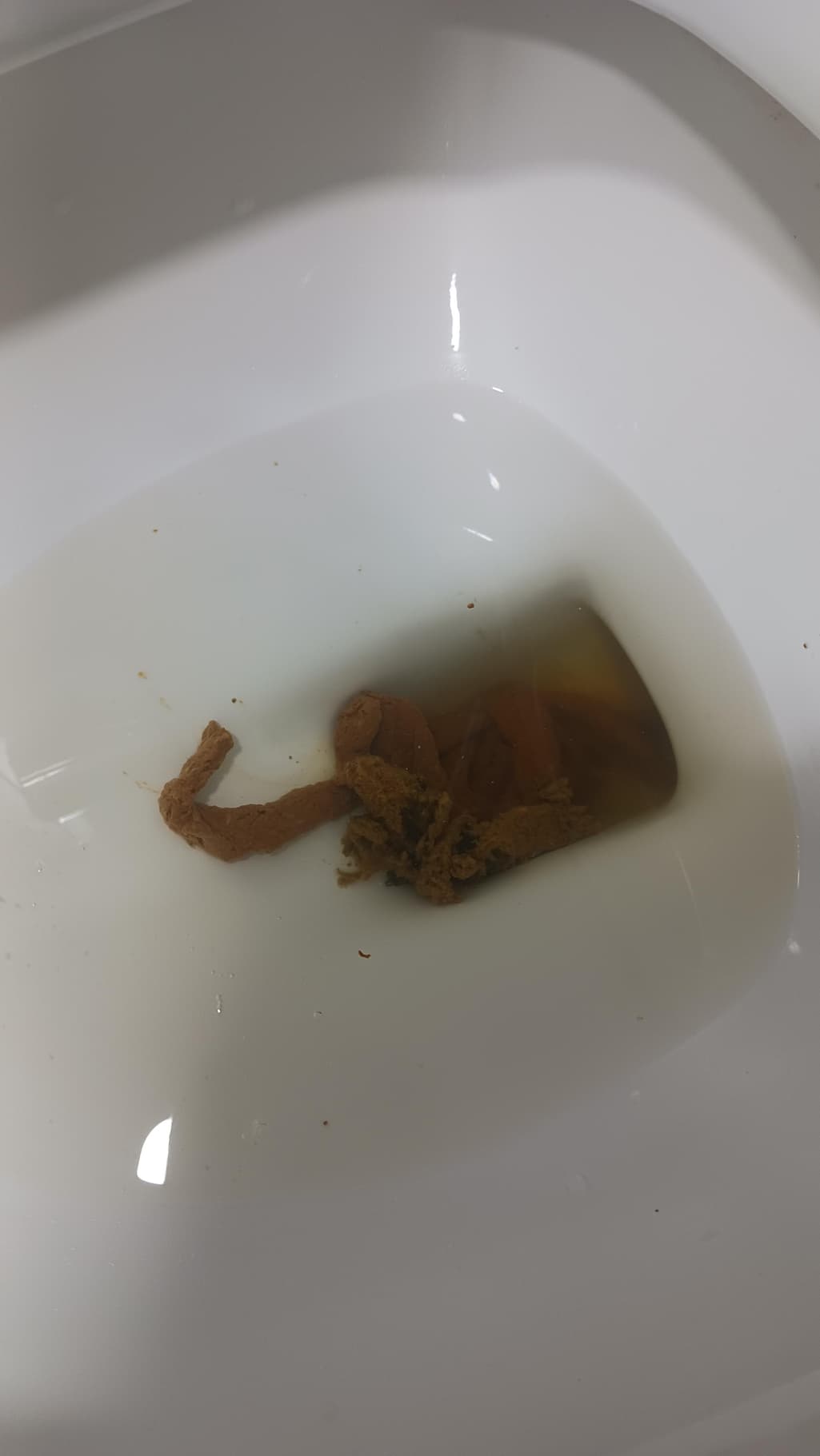 2번 째 사진