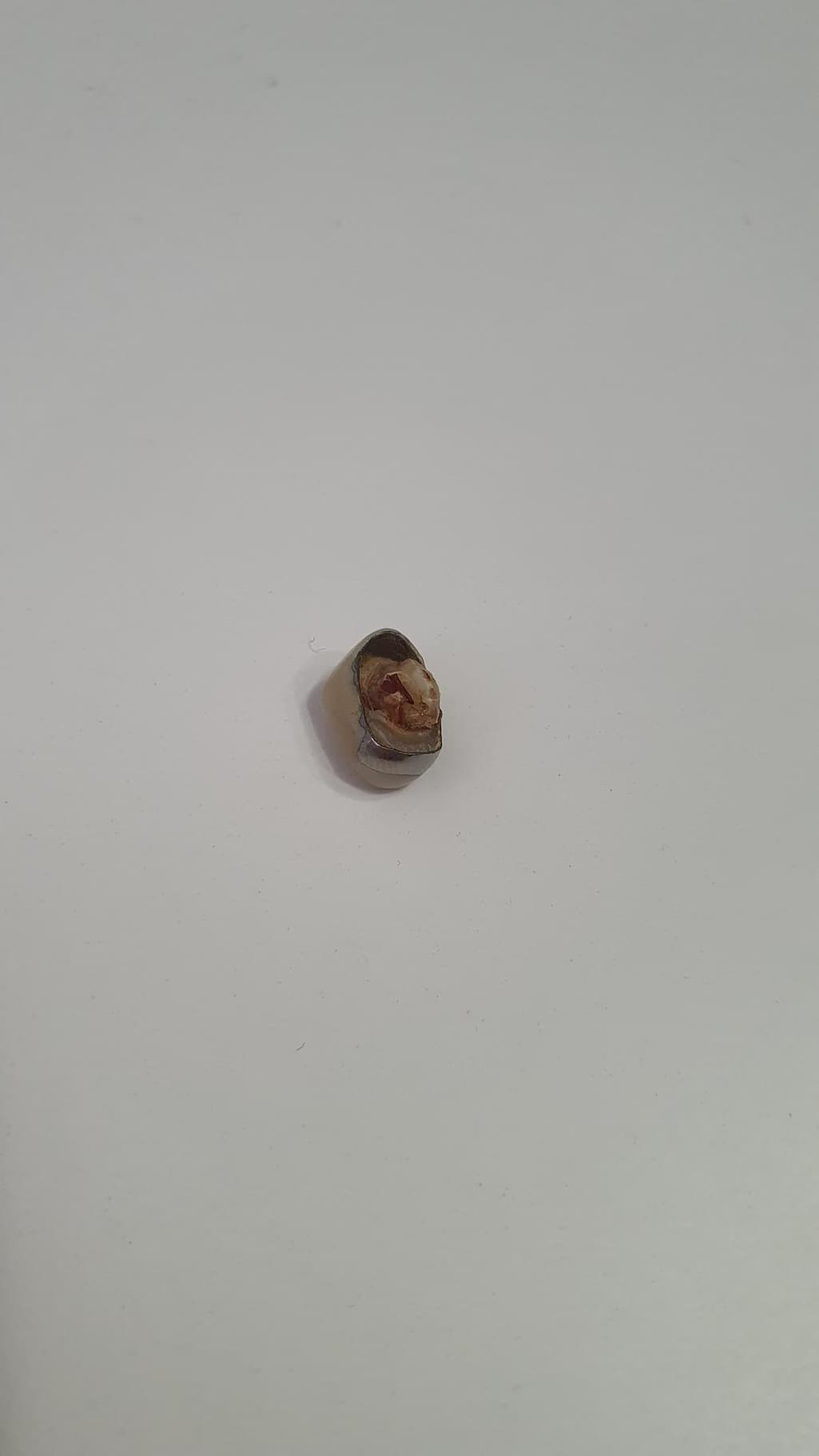 3번 째 사진