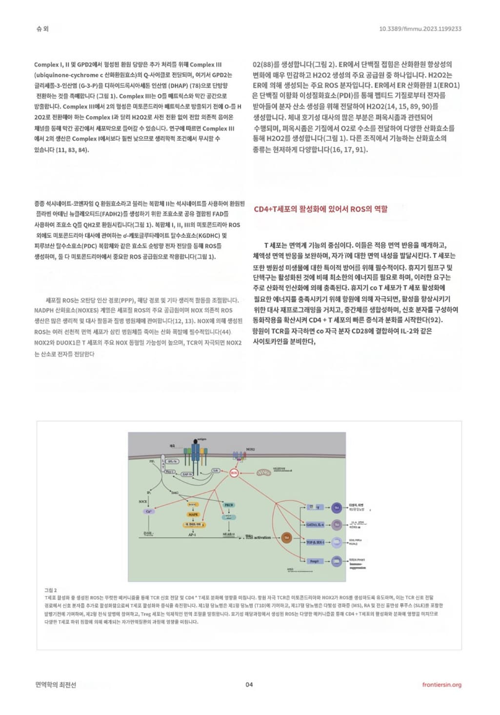 2번 째 사진