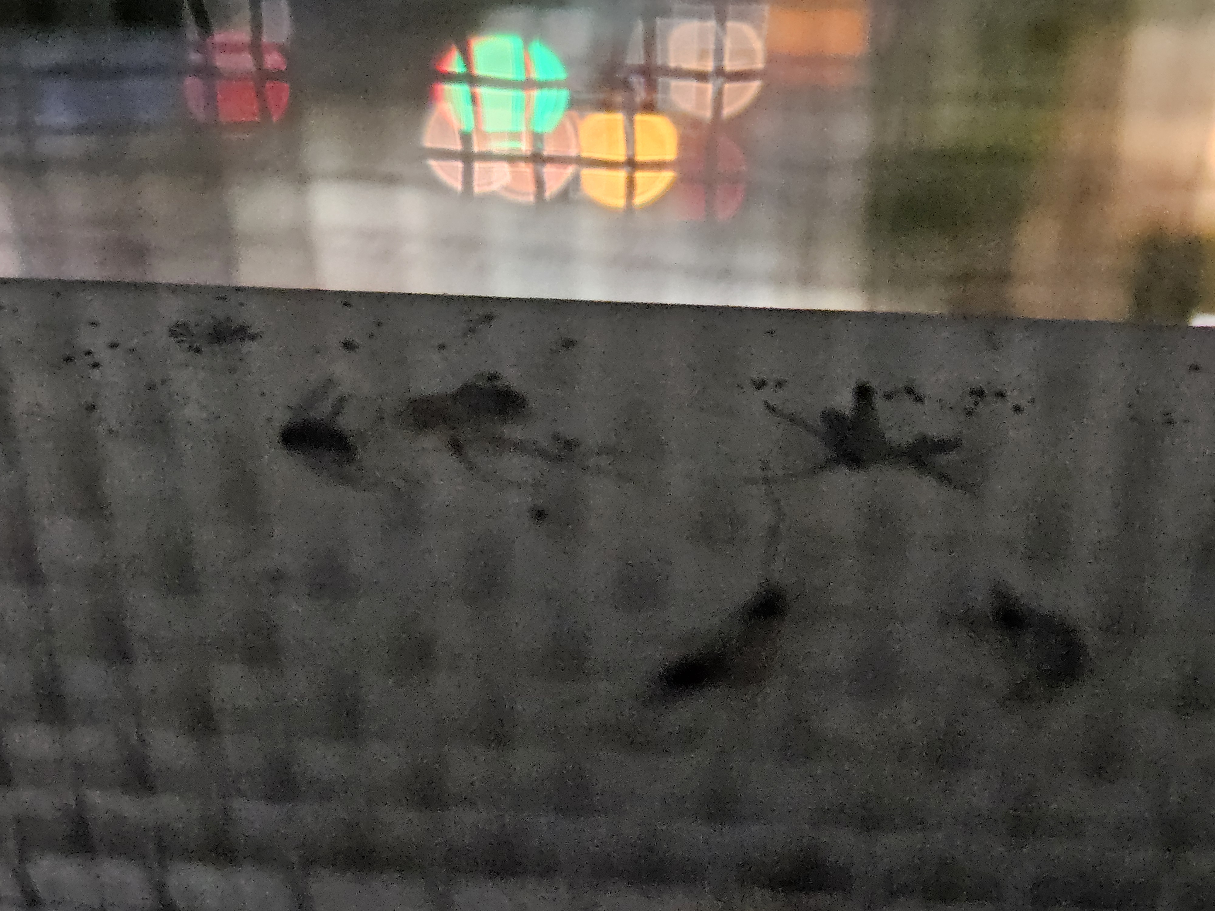 2번 째 사진