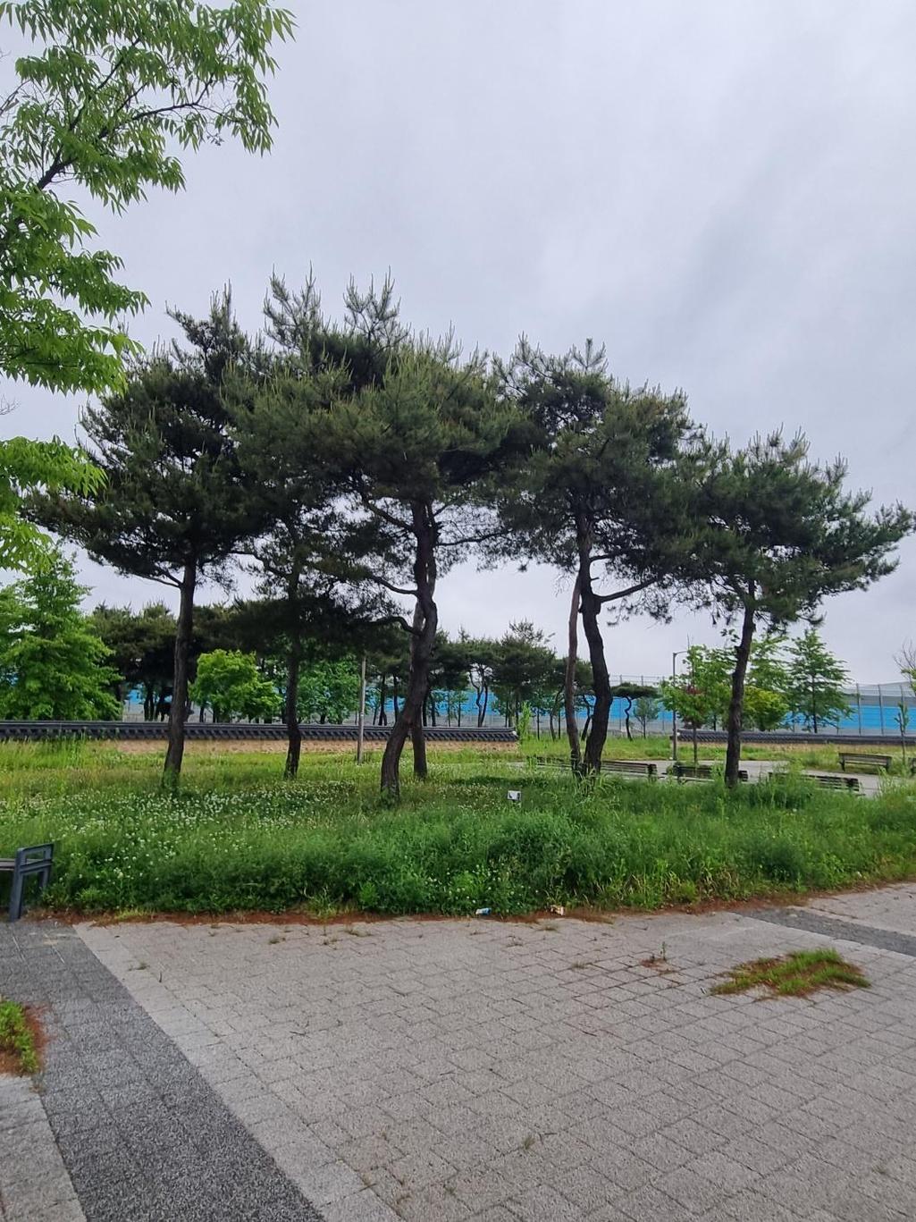 1번 째 사진
