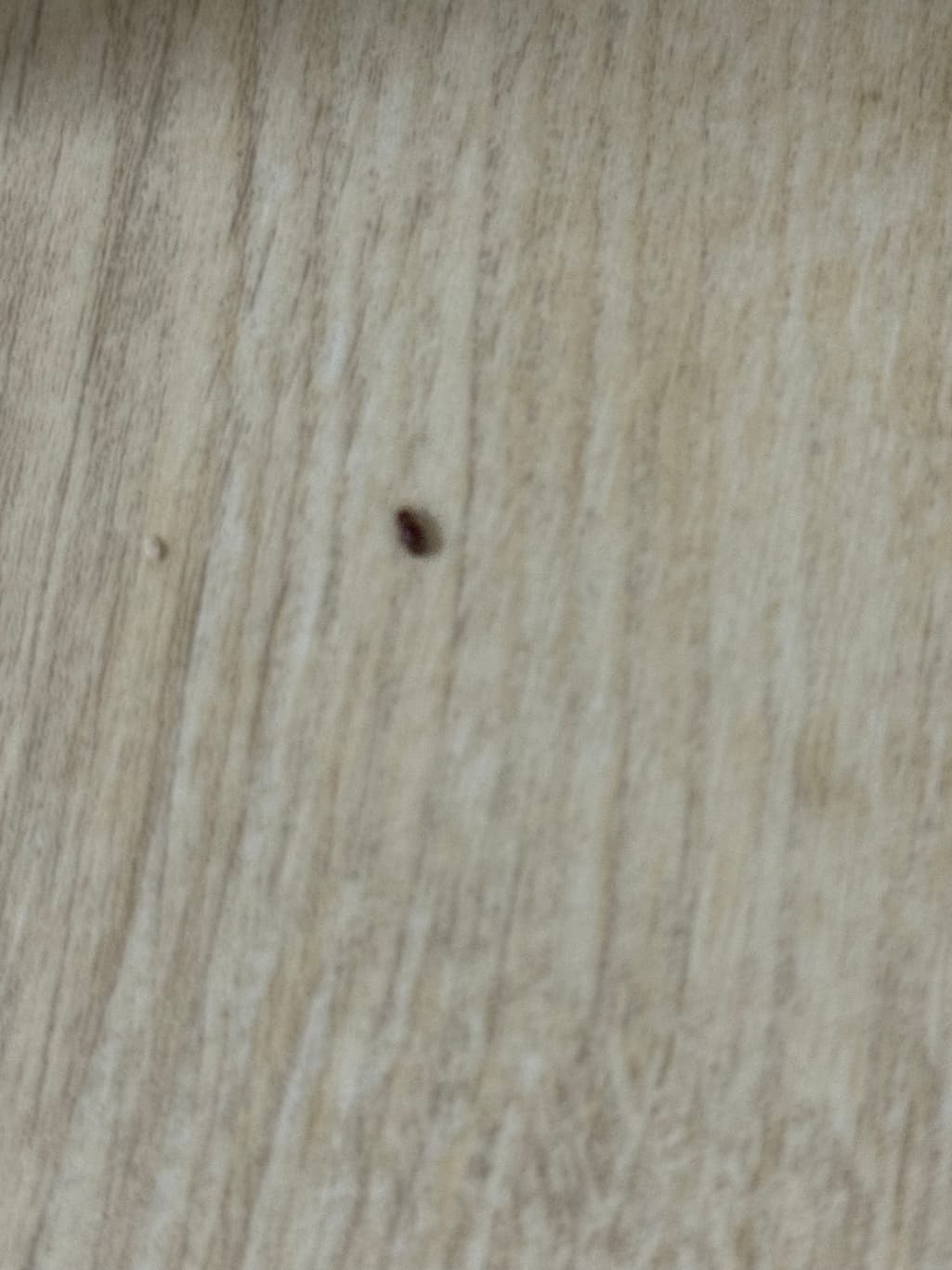 2번 째 사진