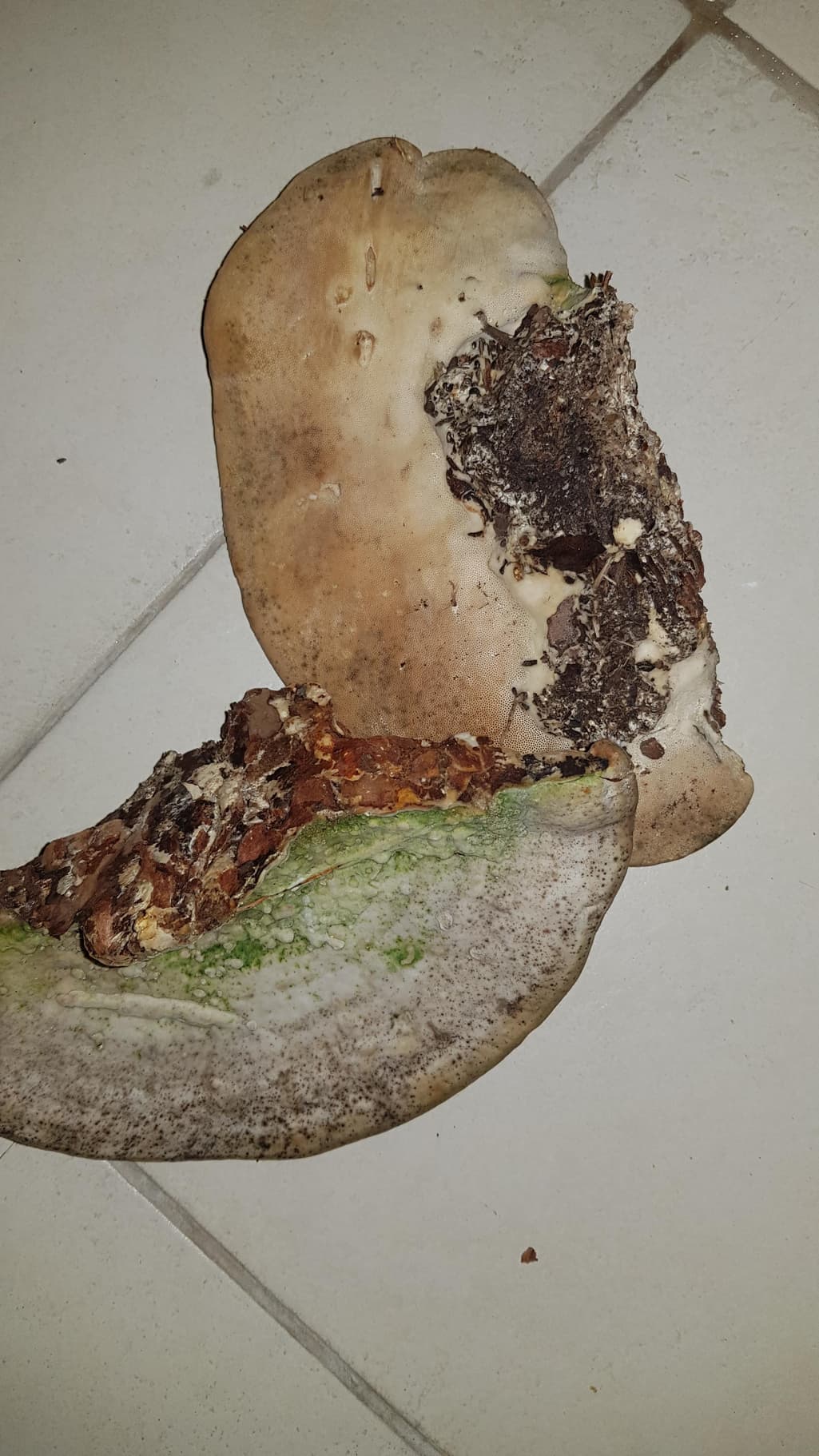 1번 째 사진