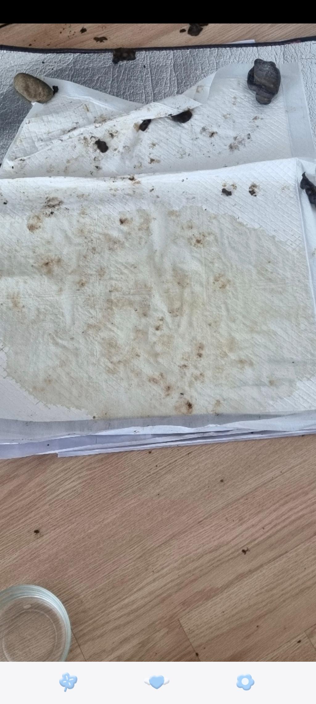 2번 째 사진