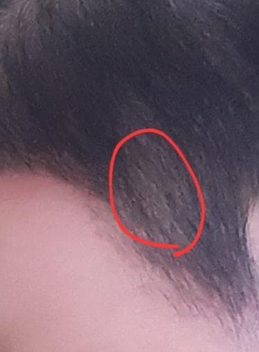 3번 째 사진
