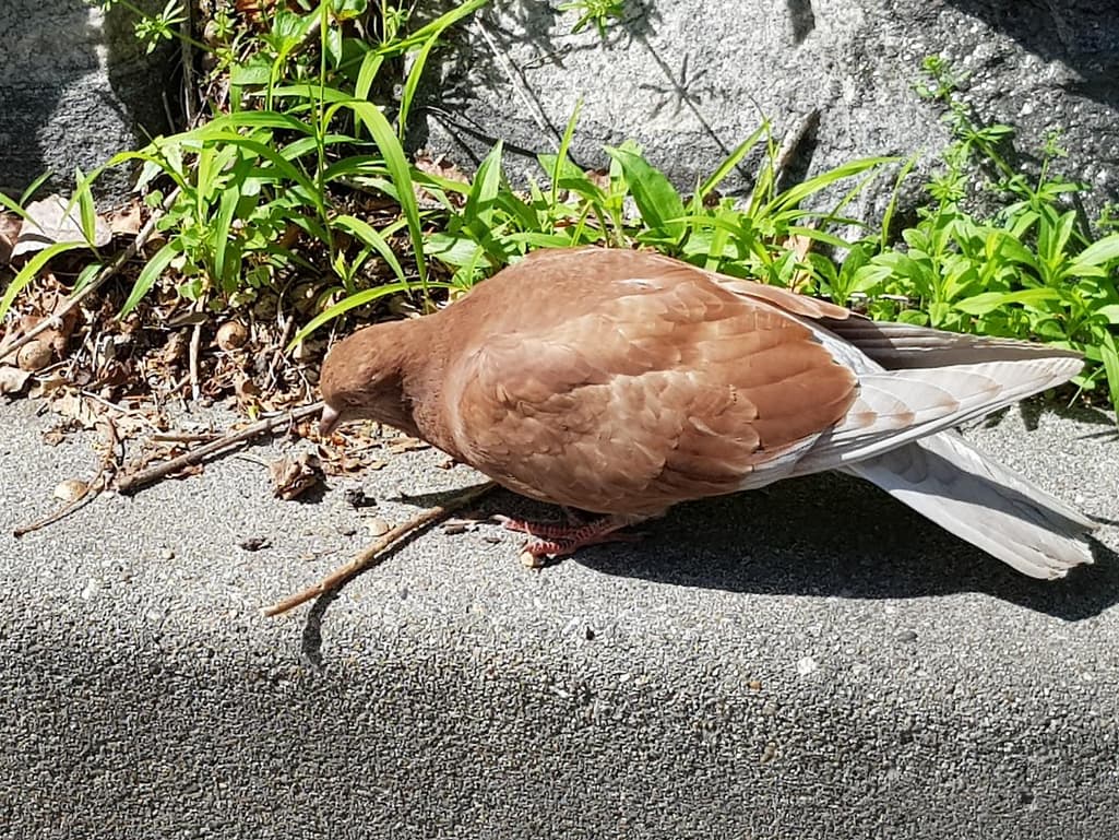 3번 째 사진
