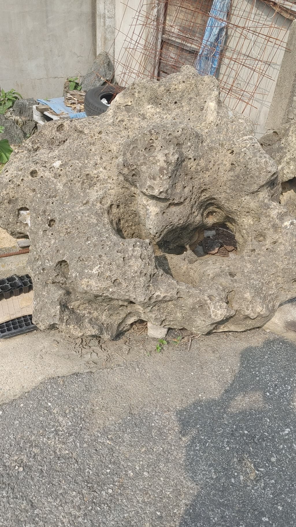 1번 째 사진