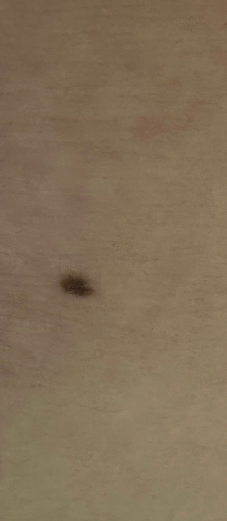 5번 째 사진