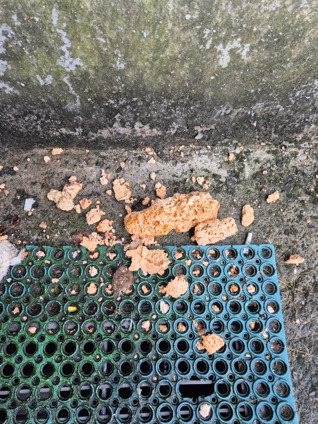 2번 째 사진