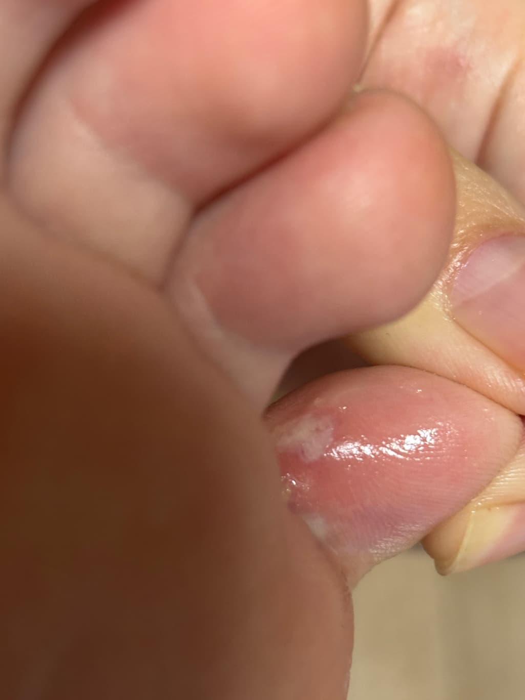 3번 째 사진