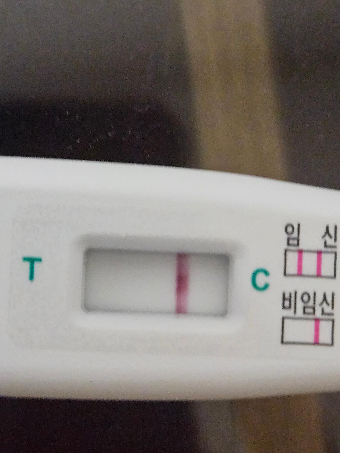 2번 째 사진