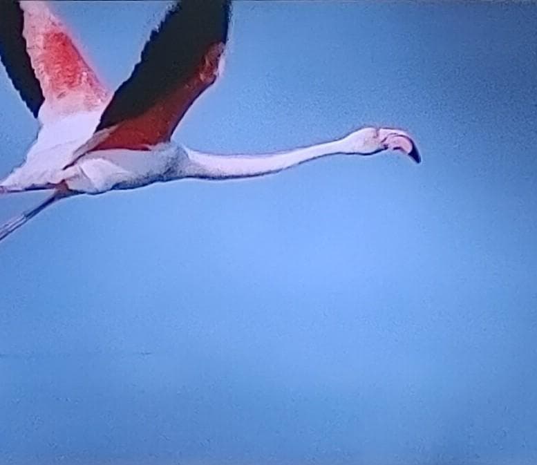 3번 째 사진