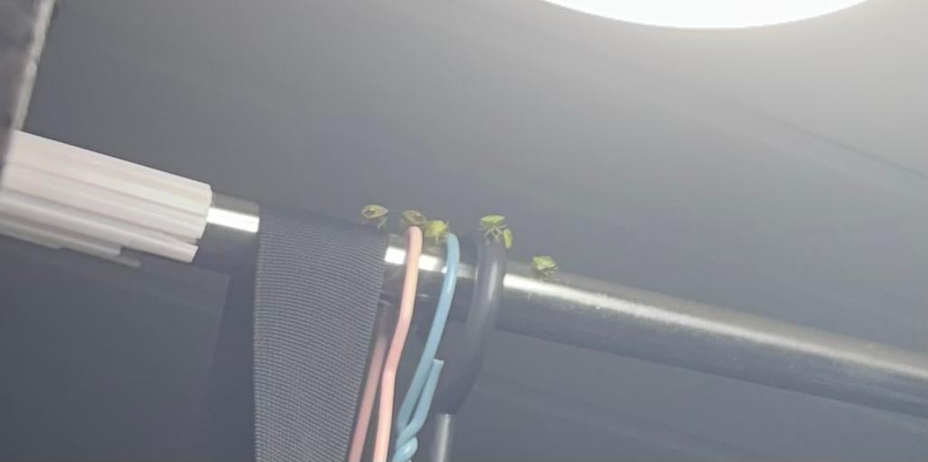 2번 째 사진