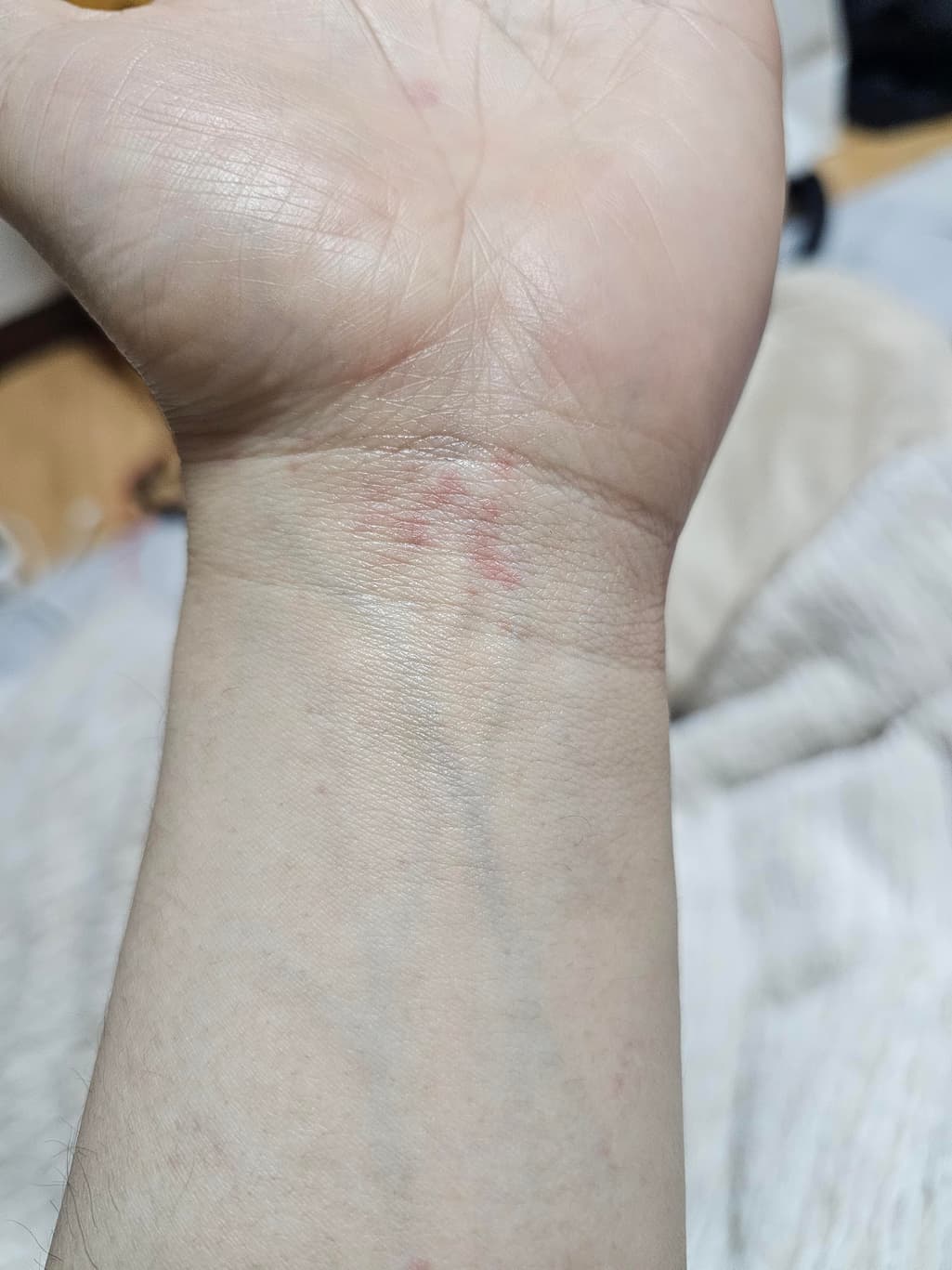 6번 째 사진