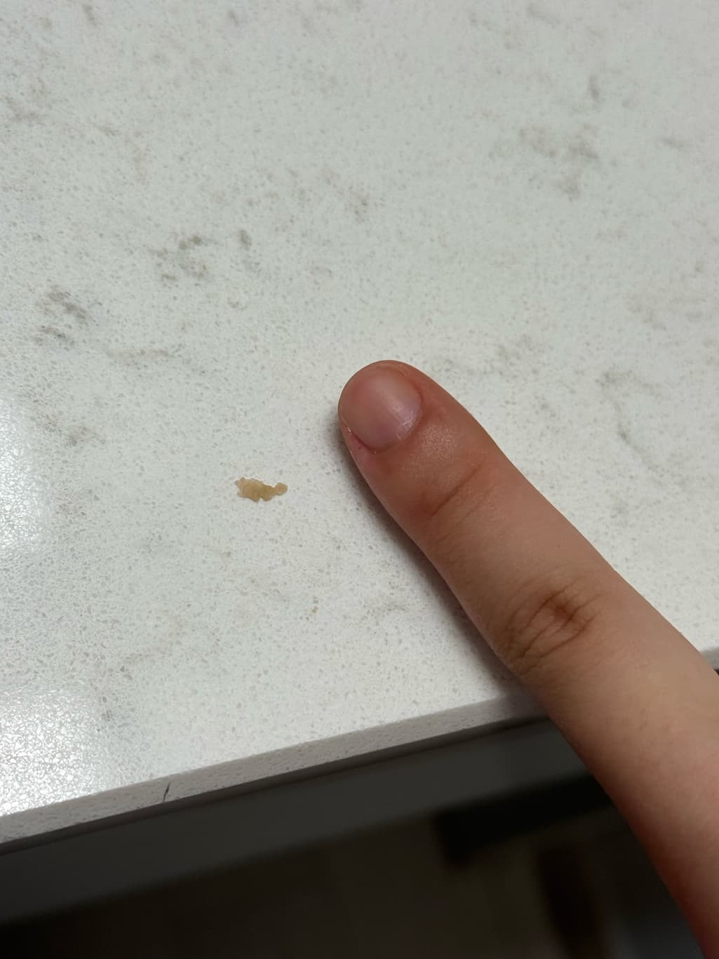 2번 째 사진