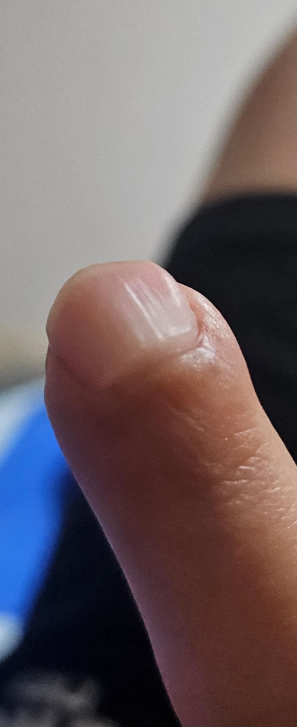 2번 째 사진
