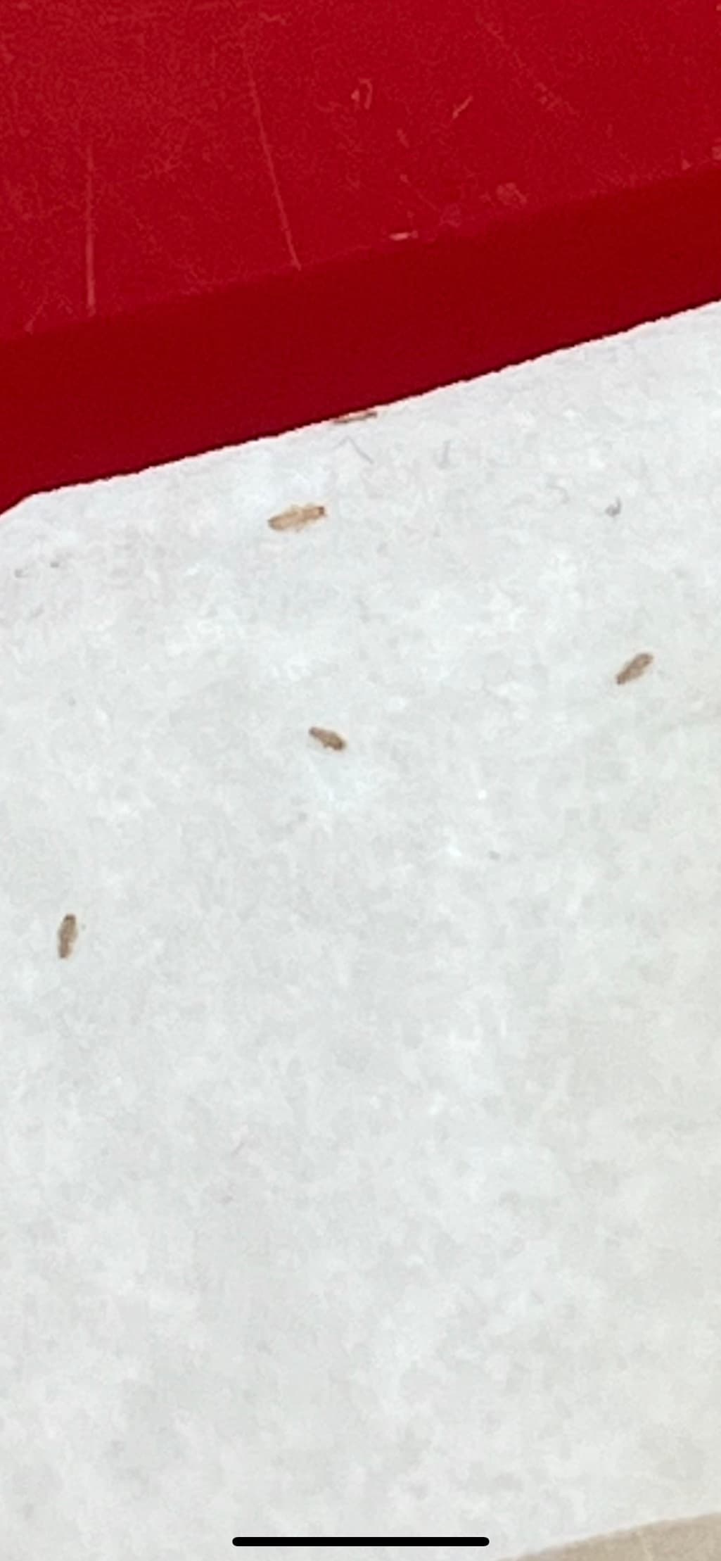 2번 째 사진