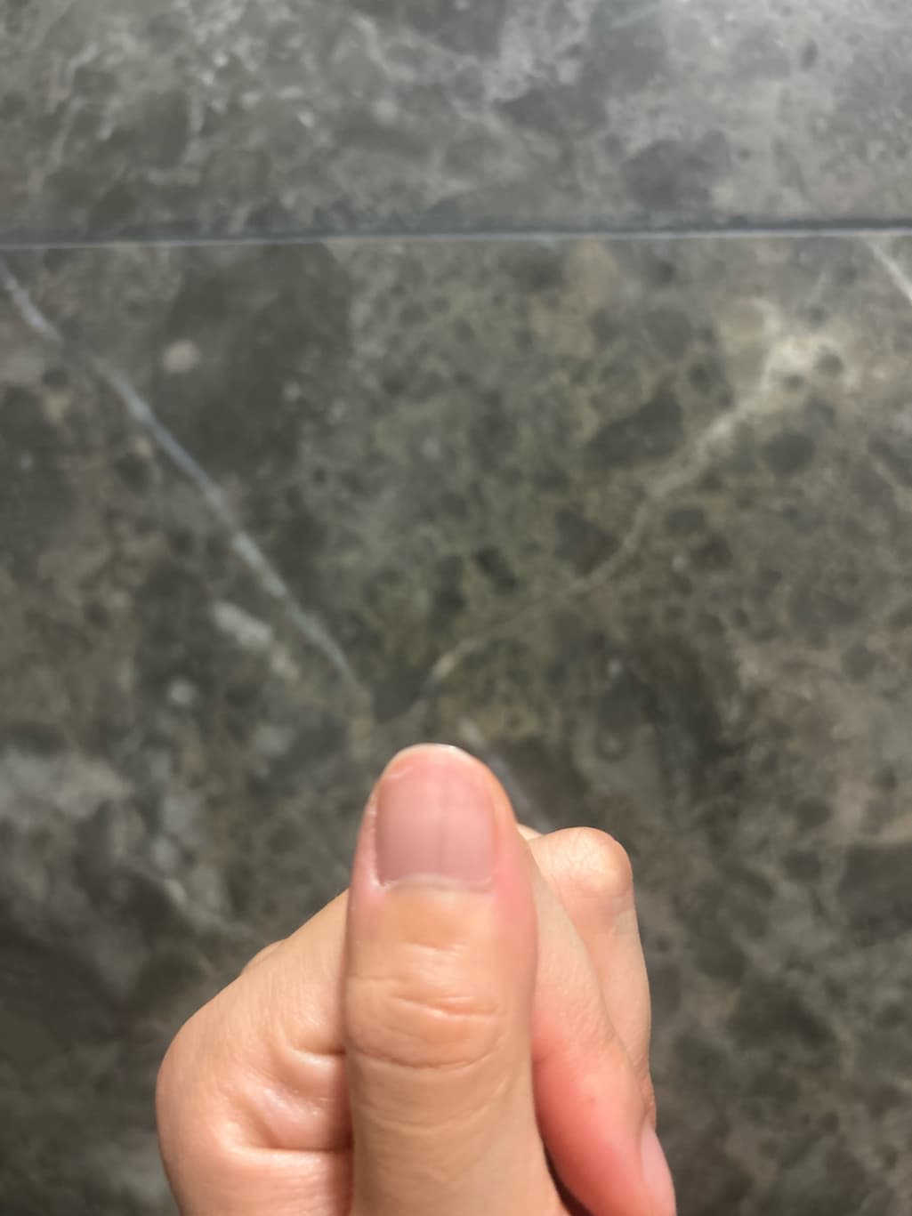 2번 째 사진