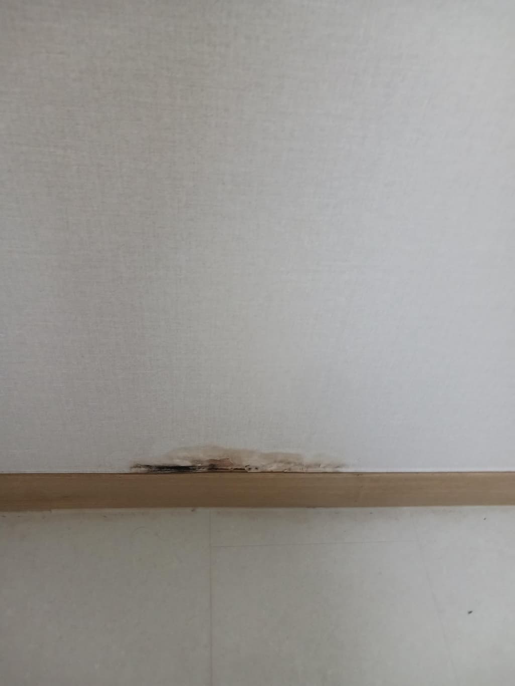 2번 째 사진