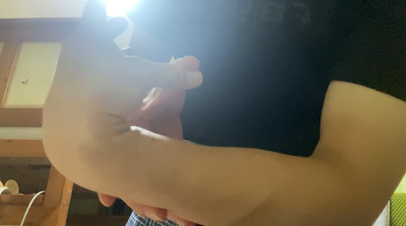 3번 째 사진