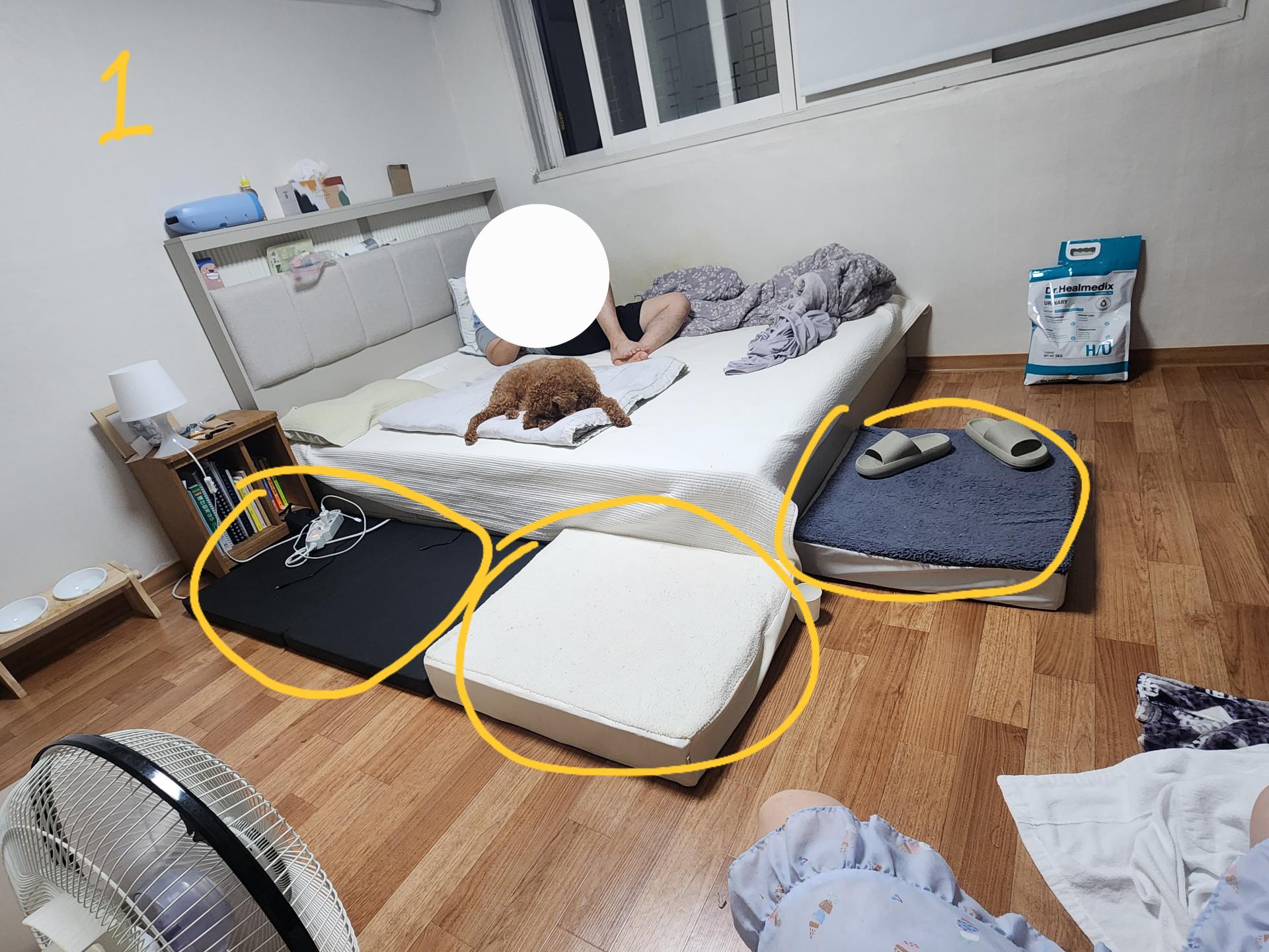 1번 째 사진