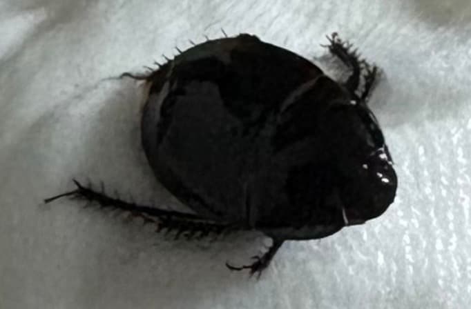 2번 째 사진