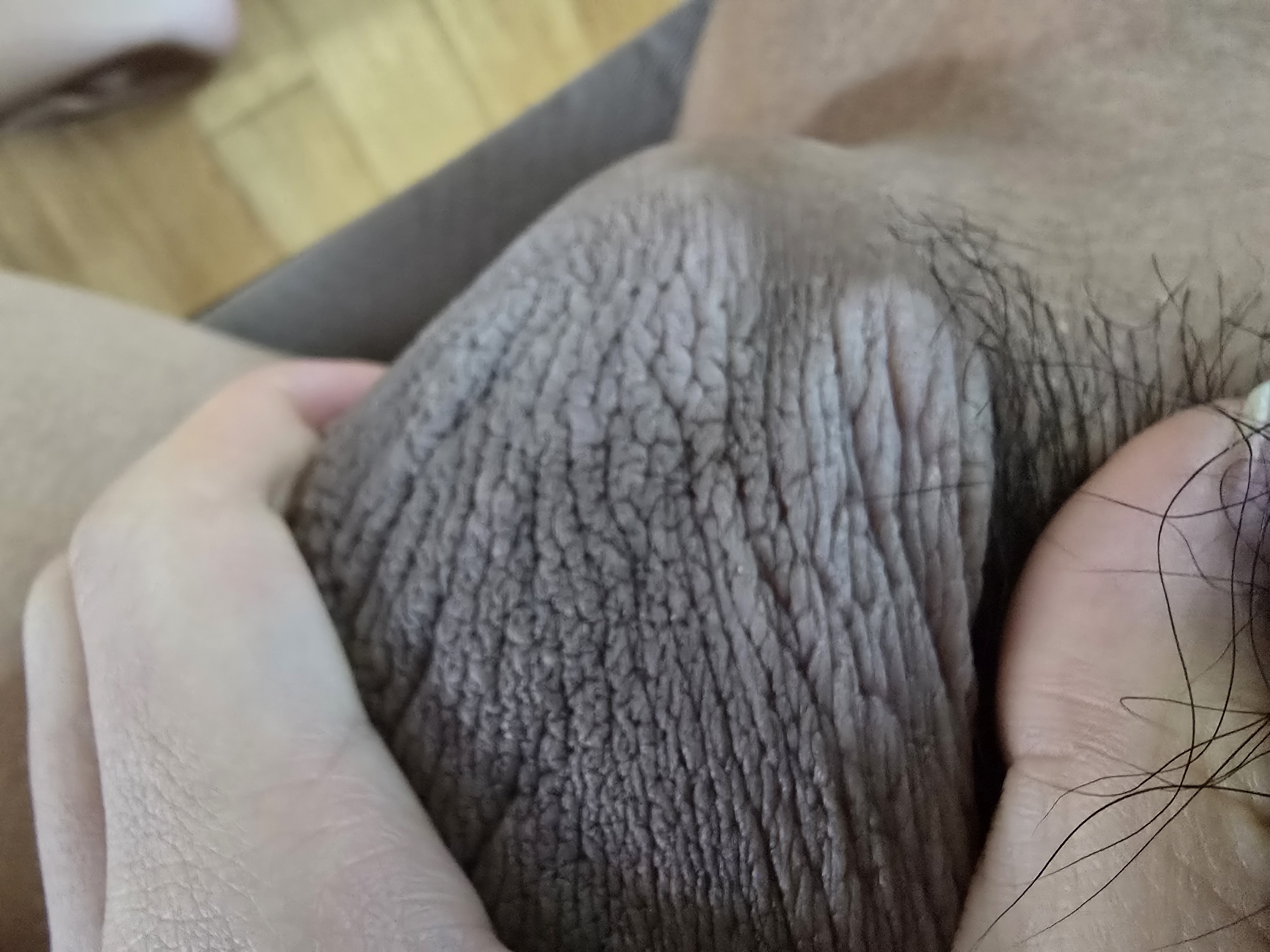 2번 째 사진