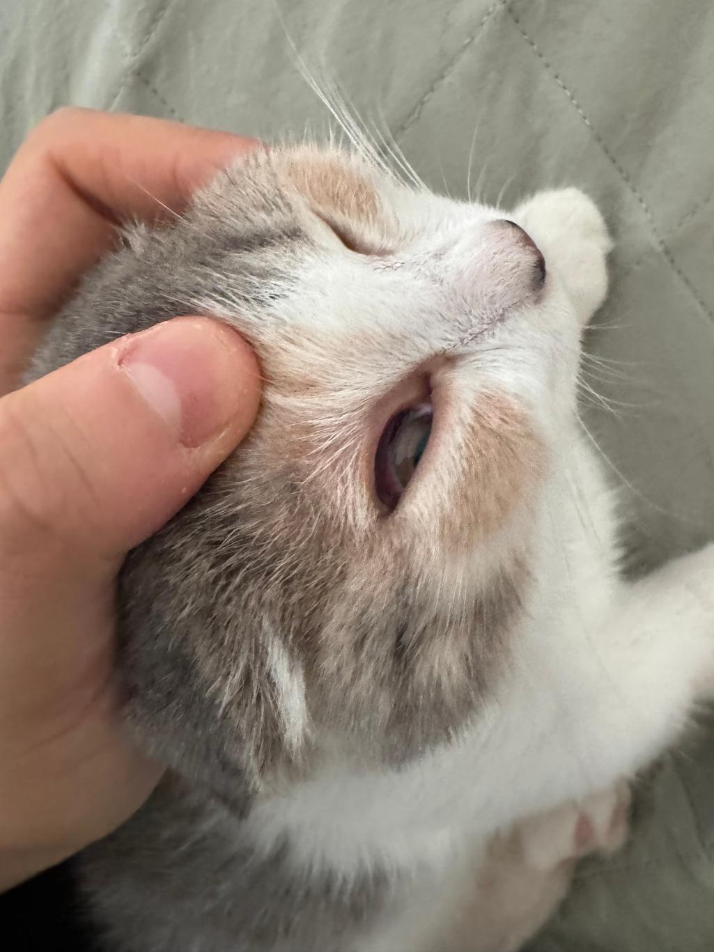 2번 째 사진