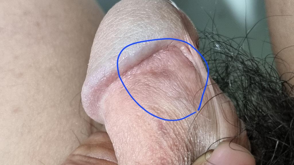 4번 째 사진