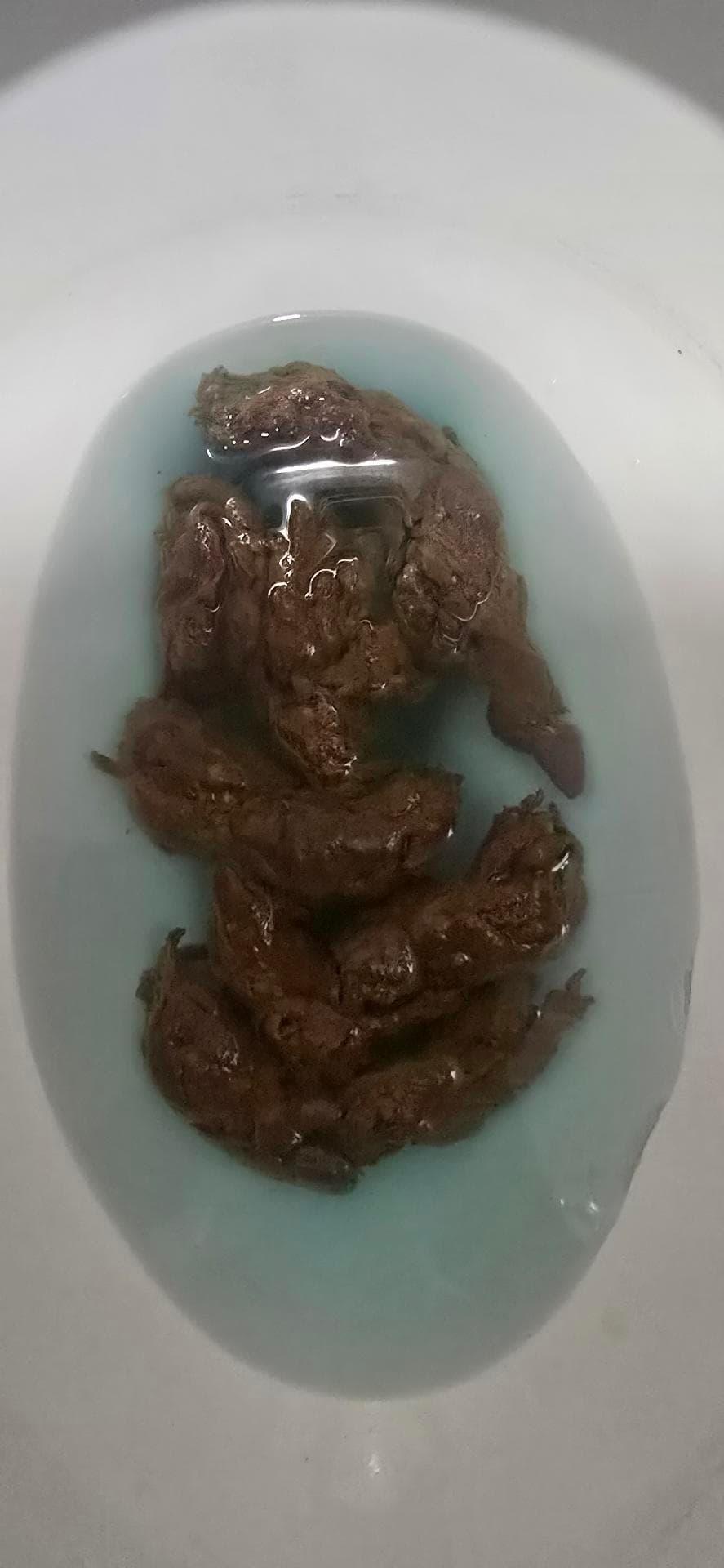 2번 째 사진