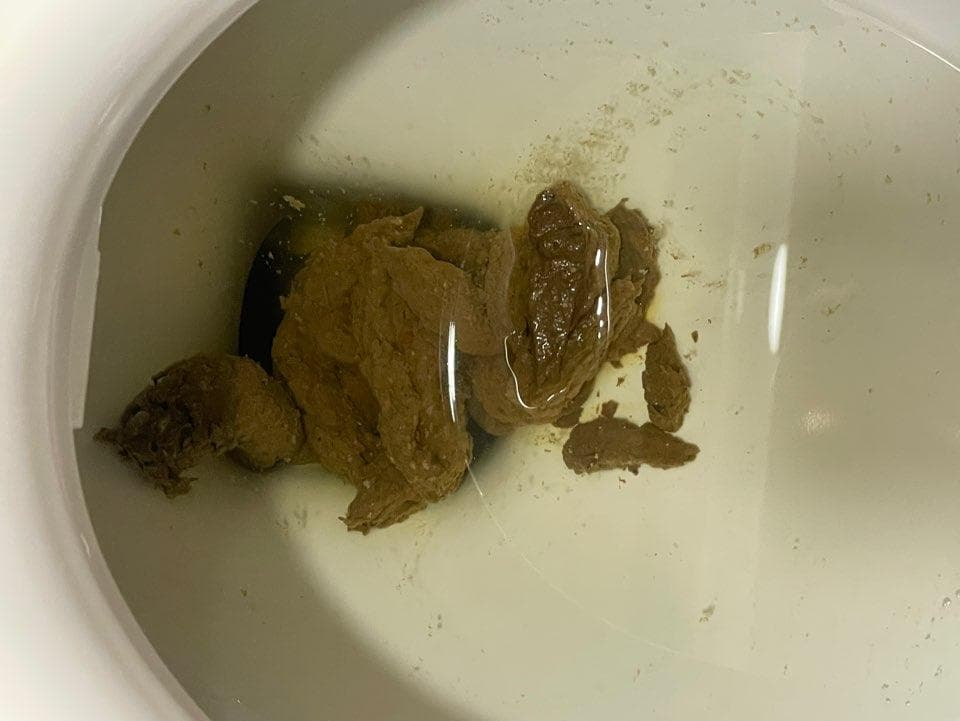 2번 째 사진