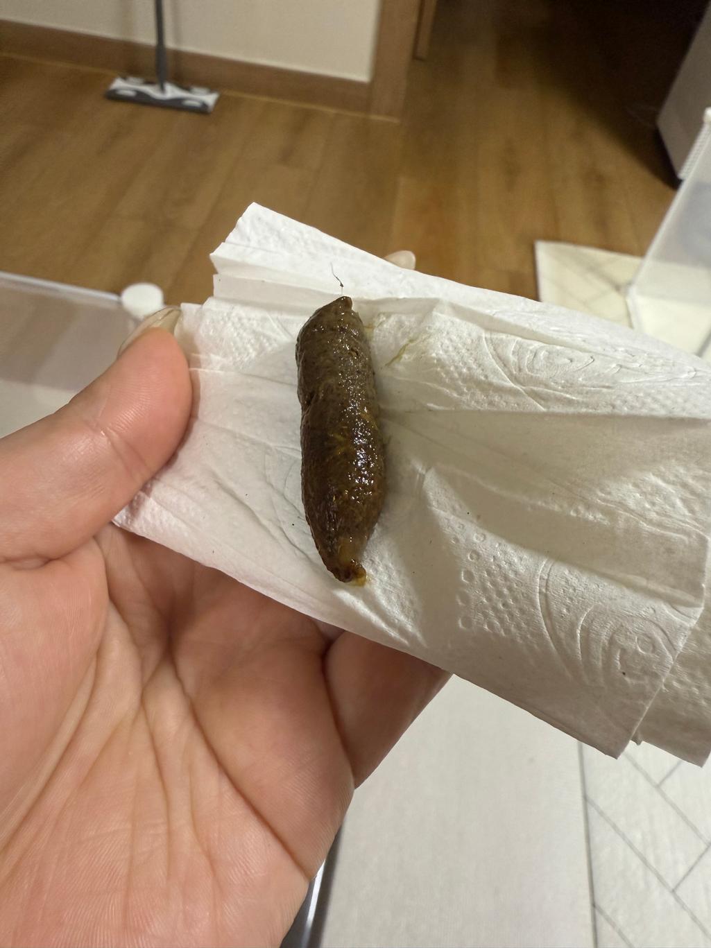 3번 째 사진