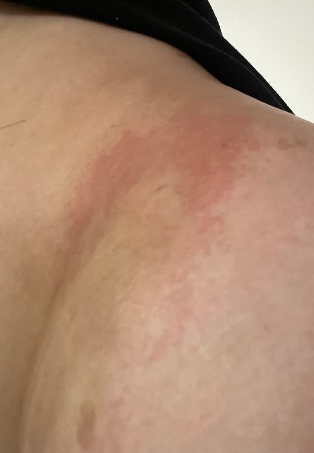 3번 째 사진