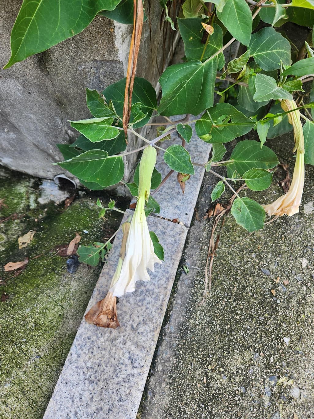 3번 째 사진