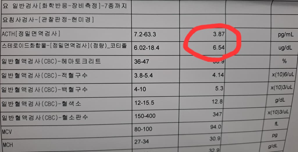 2번 째 사진