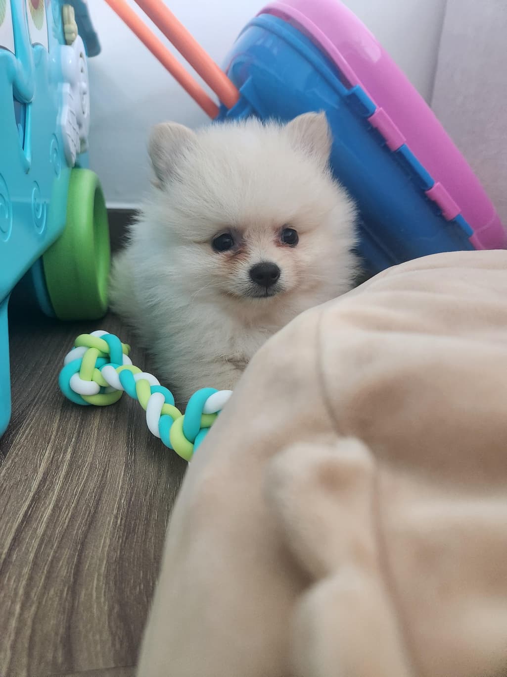 1번 째 사진