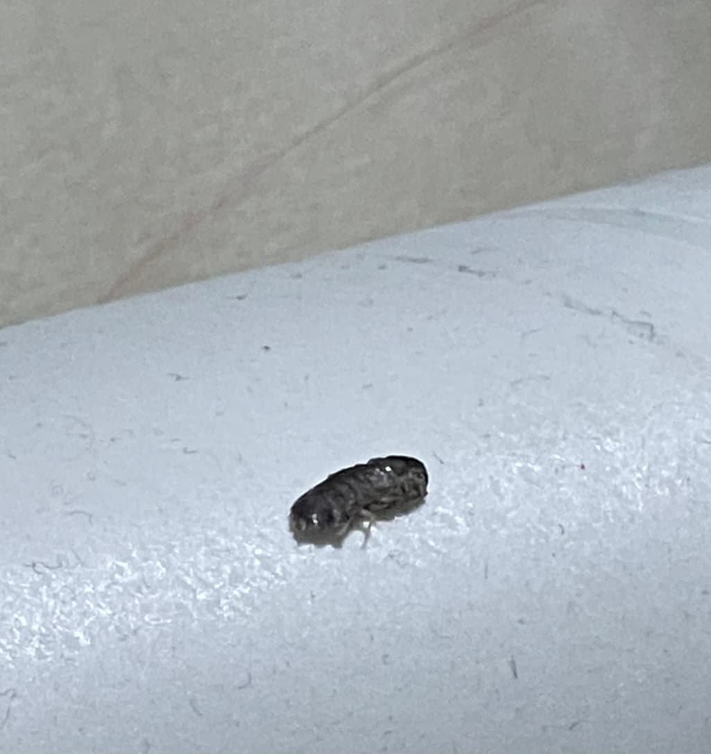 2번 째 사진