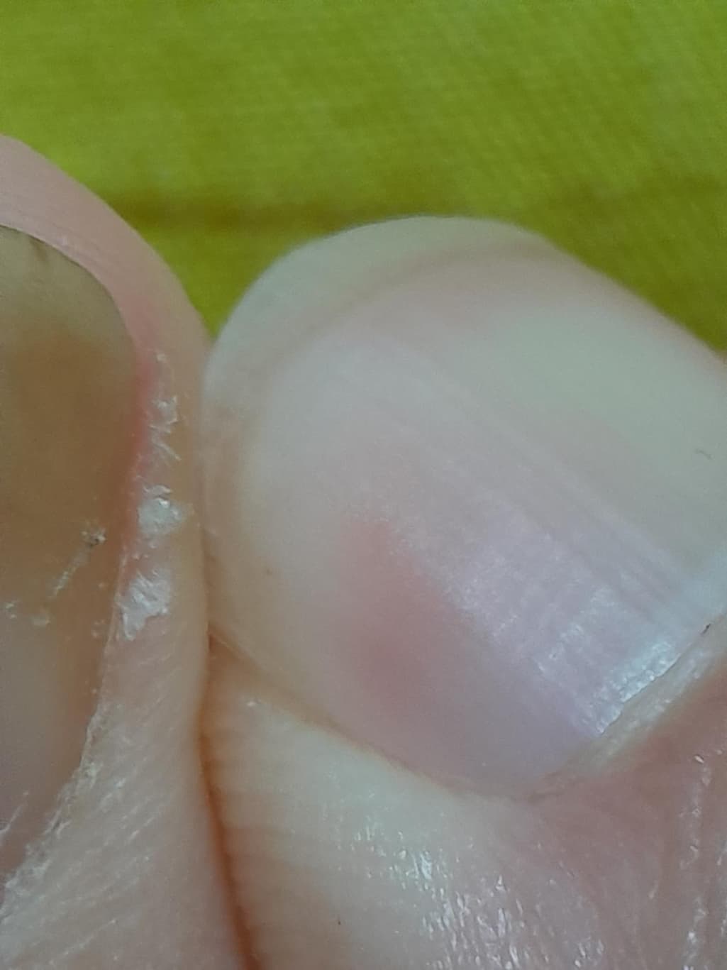 5번 째 사진