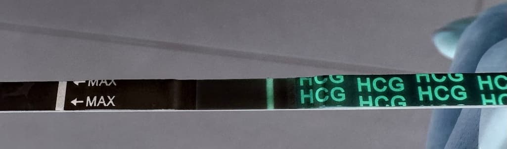 7번 째 사진