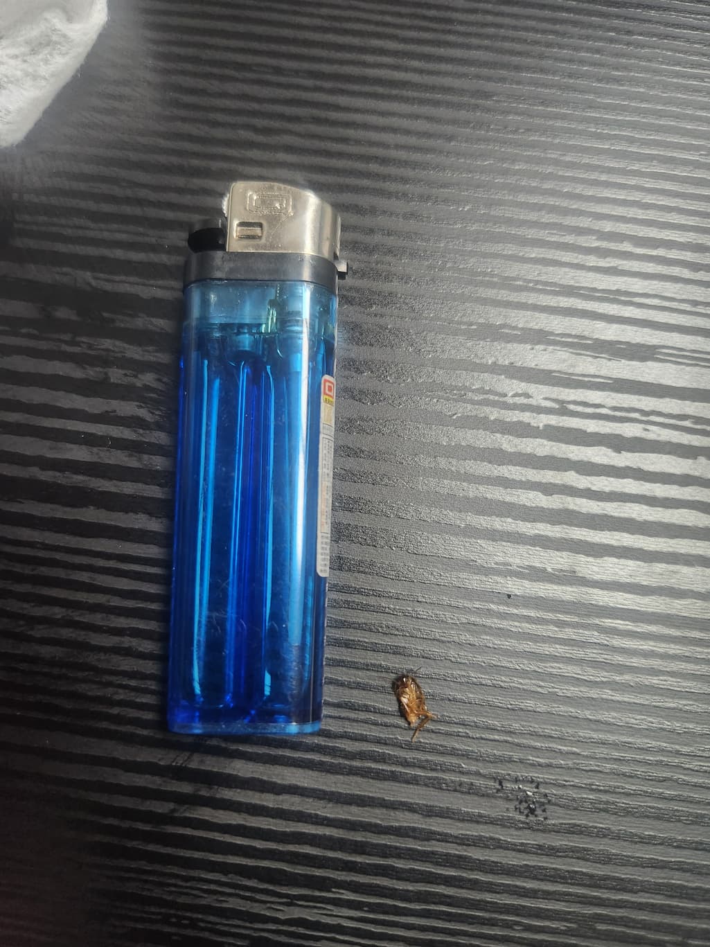 3번 째 사진